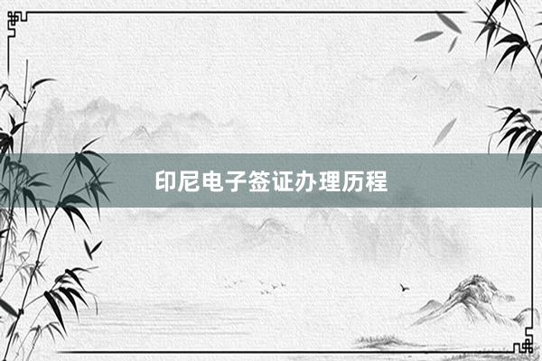 印尼电子签证办理历程