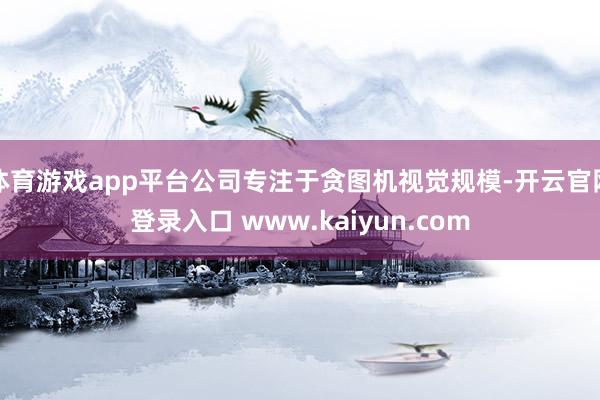 体育游戏app平台公司专注于贪图机视觉规模-开云官网登录入口 www.kaiyun.com