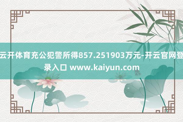 云开体育充公犯警所得857.251903万元-开云官网登录入口 www.kaiyun.com