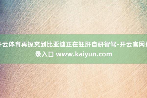 开云体育再探究到比亚迪正在狂肝自研智驾-开云官网登录入口 www.kaiyun.com