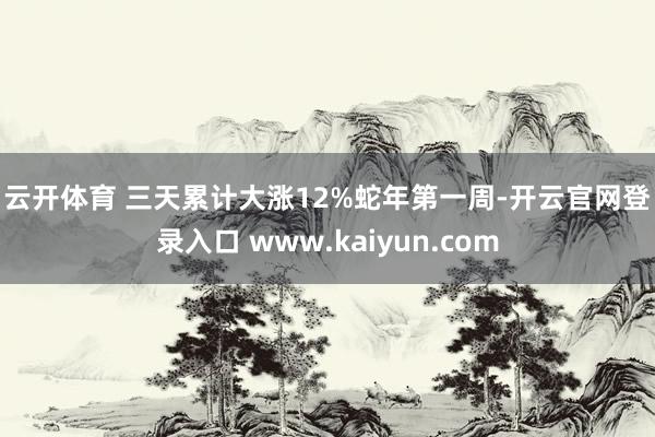 云开体育 　　三天累计大涨12%　　蛇年第一周-开云官网登录入口 www.kaiyun.com